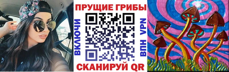 купить  сайты  Фёдоровский  Галлюциногенные грибы Psilocybine cubensis 